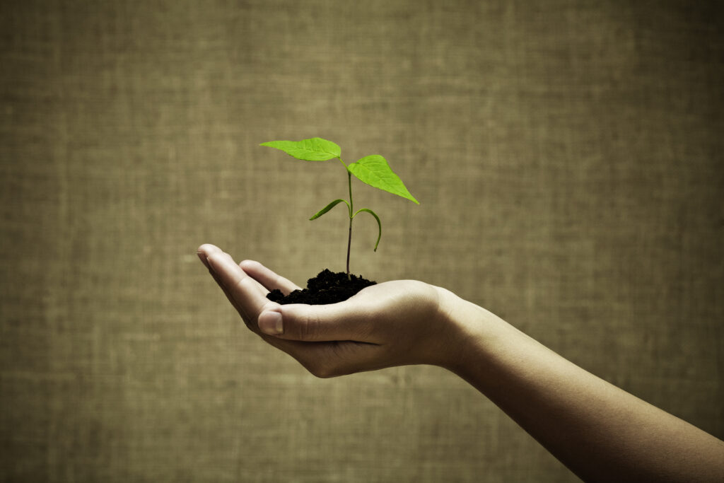 Online Zichtbaarheid